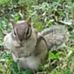 Gary Chaput - Facebook