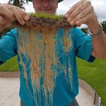 Gary Chatfield - @global_turf_consulting - Instagram