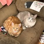 Gary Cheney - @gcheney1959 - Instagram