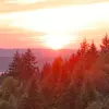 garycheney495 - @garycheney495 - TikTok