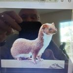 Gary Chenoweth - Facebook