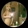 Gary Sánchez - @gary.snchez7 - TikTok