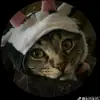 garysnchez5 - @garysnchez5 - TikTok