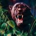 Gary Chiasson - Facebook