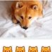 Gary  Chien - Facebook