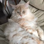 Gary Ching - @haagen_dazs_2016_march - Instagram