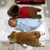 Gary Chiou - @garychiou6512 - TikTok