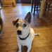 Gary Chisholm - Facebook