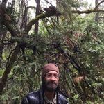 Gary Chisholm - @gary.chisholm.9421 - Instagram