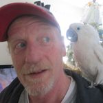 Gary Chisholm - @garychisholm126 - Instagram