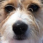 Gary Chisholm - @chis5461 - Instagram