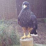 gary christmas - @garychrist1 - Instagram