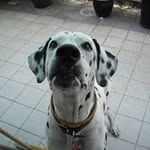 Gary Chua - @garychua78 - Instagram