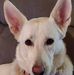 Gary Cleghorn - Facebook
