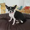 Gary D. Cloutier - @garydcloutier - TikTok
