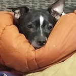 Gary Coe - @coe355 - Instagram