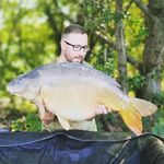 Gary Coe - @baldys_banklife - Instagram