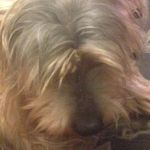 Gary Colbert - @gary.colbert.16 - Instagram