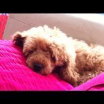 garycolbert - @garycolbert - Instagram