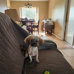 Gary Colton - Facebook