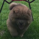Gary Ted Colvin - @man_like_gary_ted_colvin - Instagram
