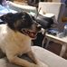 Gary Conlon - Facebook