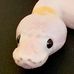 Gary Conlon Reptiles - Facebook