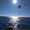garyconners403 - @garyconners403 - TikTok
