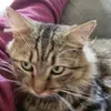 garycooney98 - @garycooney98 - TikTok