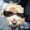gary conrad - @gary.conrad - TikTok