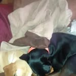 Gary Copley - @gary.copley.9 - Instagram