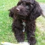 Gary Copping - @copping.gary - Instagram