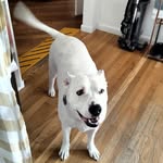 Gary Corder - @garycorder420 - Instagram