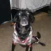 Gary Cordova JR - @gary.cordova.jr - TikTok
