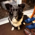 Gary Cork - Facebook