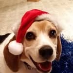 Gary Cornelius - @garycornelius1038 - Instagram