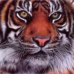 Gary Cornelius - @gary.cornelius.54 - Instagram
