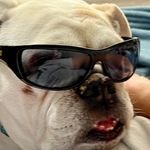 Gary Cornstubble - @garycornstubble - Instagram