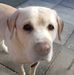 Gary Cornwall - Facebook