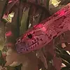 iowngary - @garythecornwallsnake - TikTok