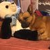Gary Coryell - Facebook