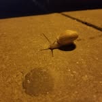 Gary cory spoon - @gary_spoon123 - Instagram