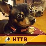 Gary Cosner - @gcosner - Instagram