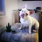 Gary Coughlan - @geedannyc - Instagram