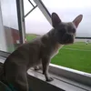Gary Coughlan - @garycoughlan3 - TikTok