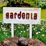 Gardenia Country Inn - @gardeniacountryinn - Instagram