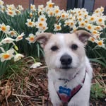 Carly + Curie's City Garden - @garnet.and.gardens - Instagram