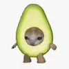 Gary Courtney - @gary.courtney3 - TikTok