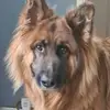 Gary Coutts - @gary.coutts34 - TikTok