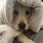 Gary Coutts - @gary_coutts - Instagram